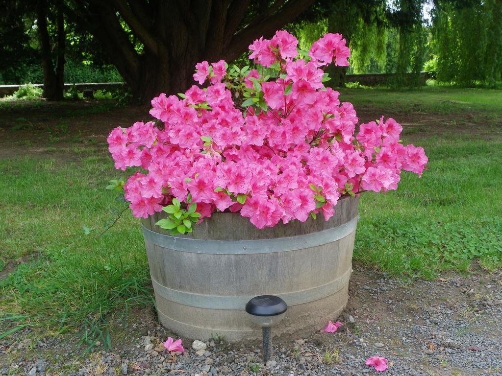 Les Malvaux Bed & Breakfast Huriel Exterior foto