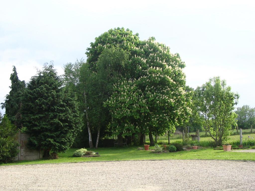 Les Malvaux Bed & Breakfast Huriel Exterior foto